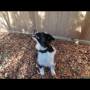 Meet your Posher, Gerk